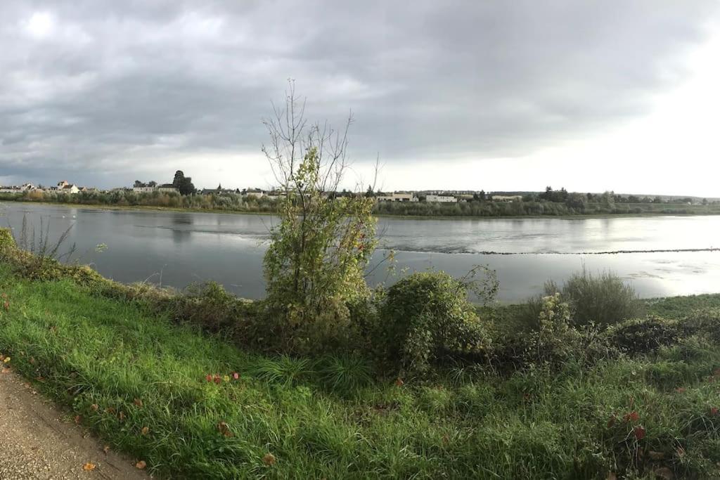 Nid Douillet Bord De Loire Lejlighed Blois Eksteriør billede